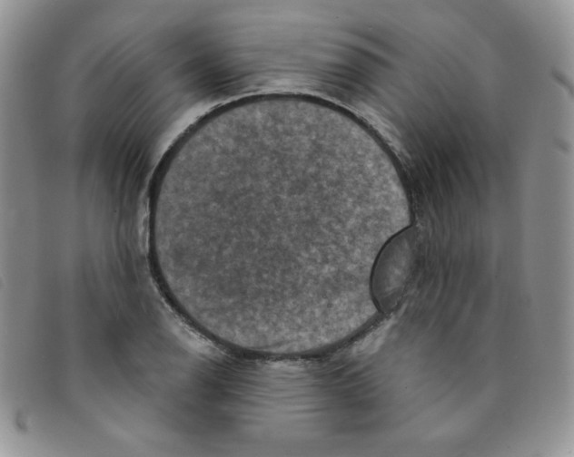 X0000095551126200801111448