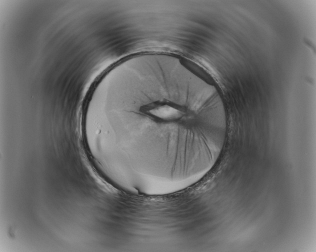 X0000095551128200801111448