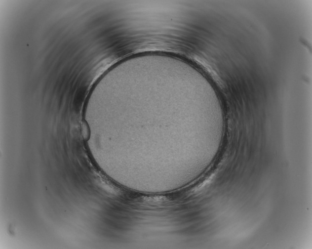 X0000095551129200801111448