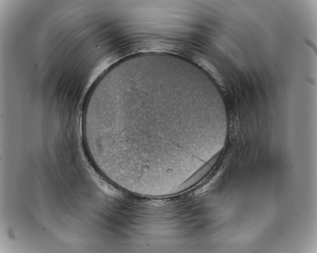 X0000095551130200801111448