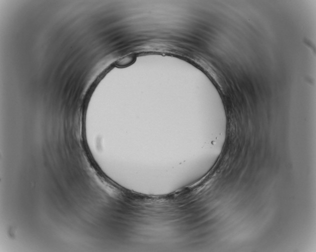 X0000095551131200801111448