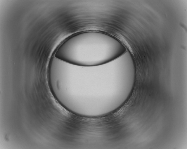 X0000095551132200801111448