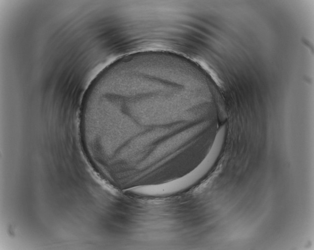 X0000095551134200801111448