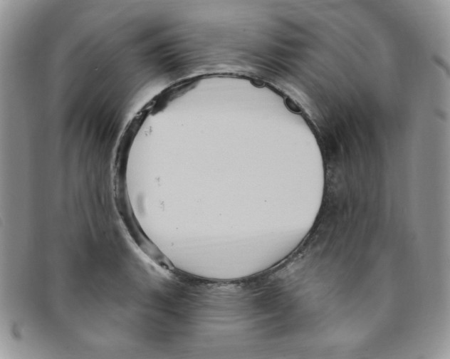 X0000095551135200801111448