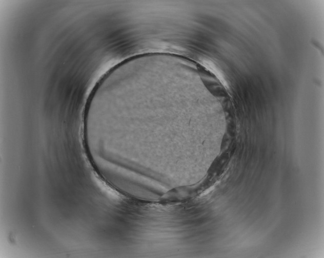 X0000095551136200801111448