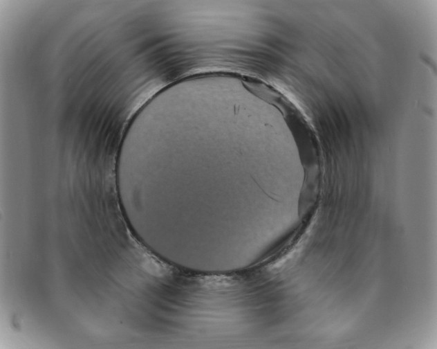 X0000095551137200801111448