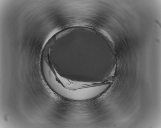 X0000095551138200801111448