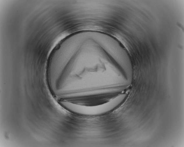 X0000095551139200801111448