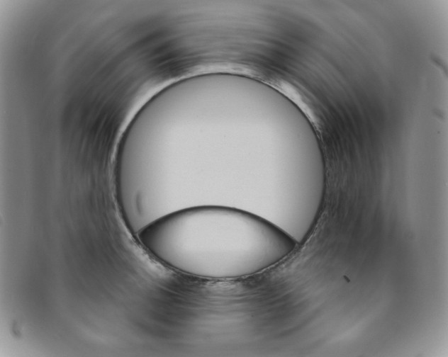 X0000095551140200801111448