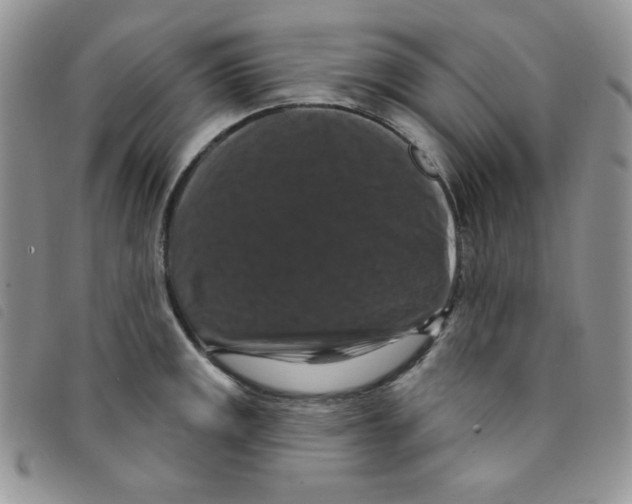 X0000095551141200801111448