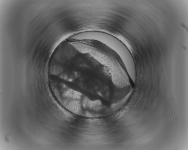 X0000095551142200801111448