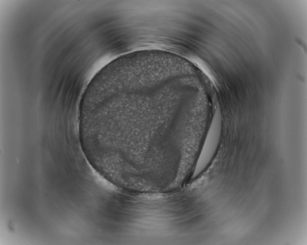 X0000095551143200801111448