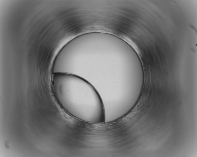 X0000095551144200801111448