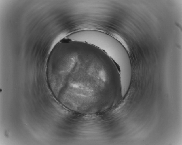 X0000095551146200801111448