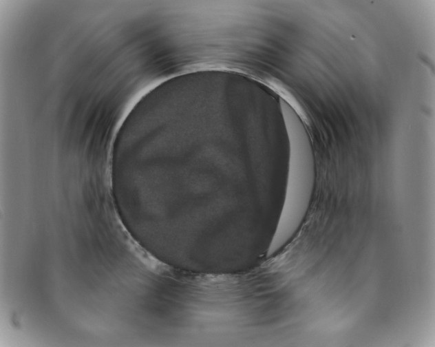 X0000095551148200801111448