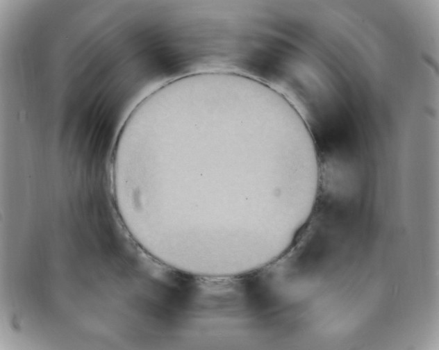 X0000095551150200801111448