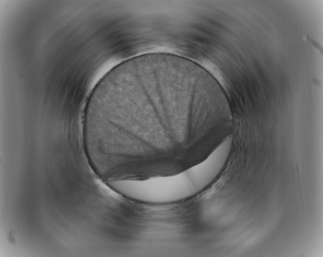 X0000095551151200801111448