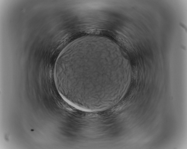 X0000095551154200801111447