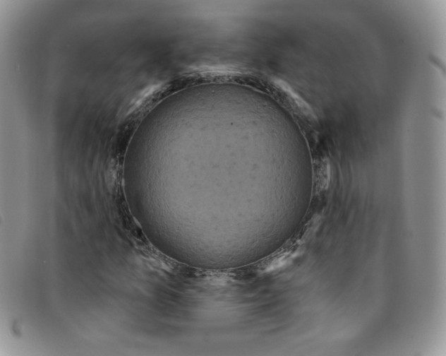 X0000095551157200801111447