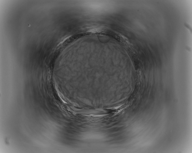 X0000095551158200801111447