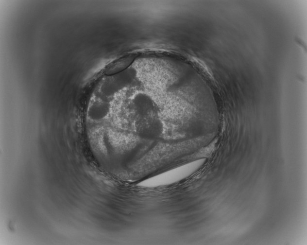 X0000095551159200801111447