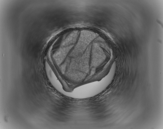 X0000095551160200801111447