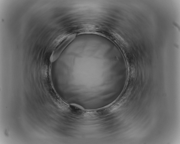 X0000095551161200801111447