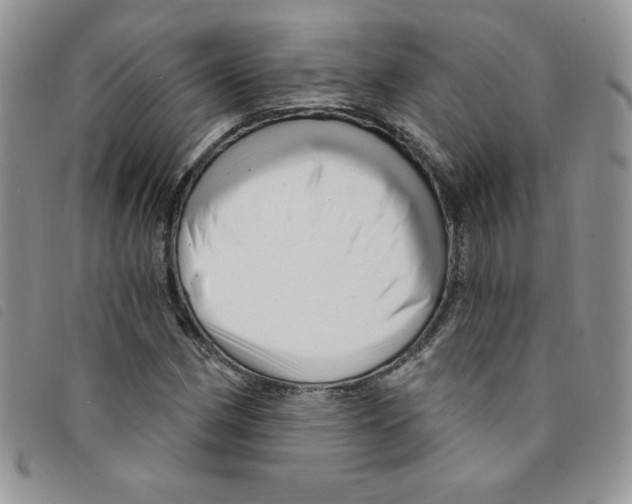 X0000095551162200801111447