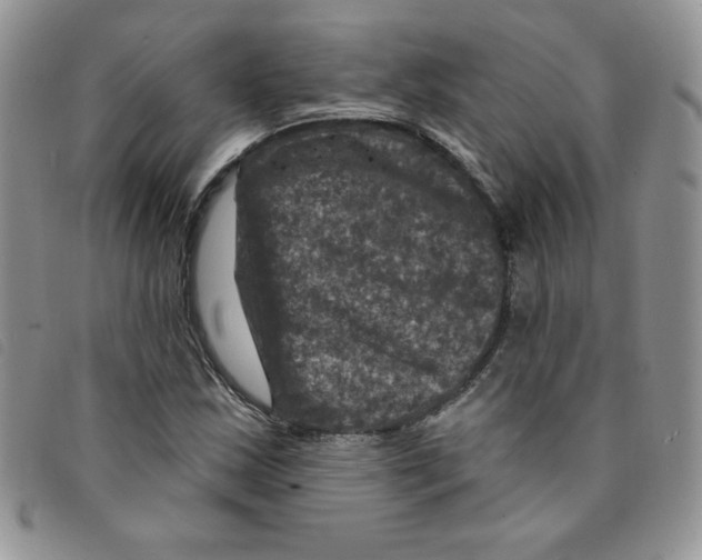 X0000095551163200801111447