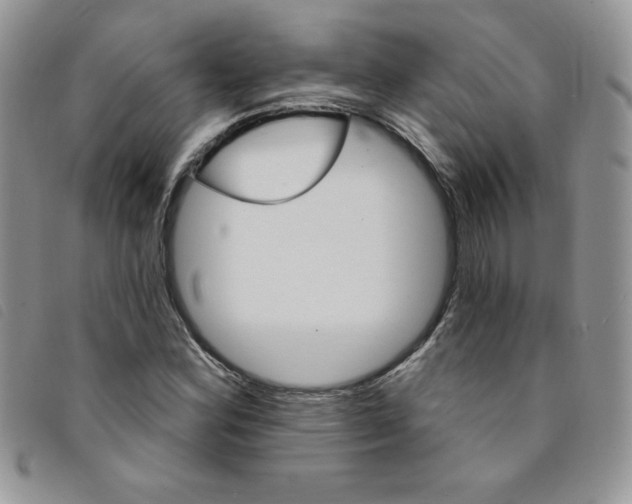 X0000095551164200801111447