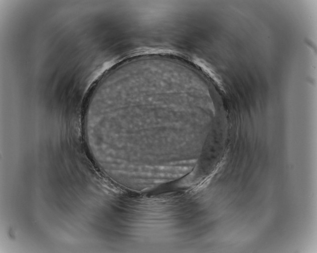 X0000095551165200801111447