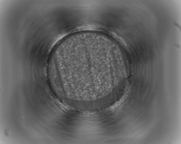 X0000095551166200801111447