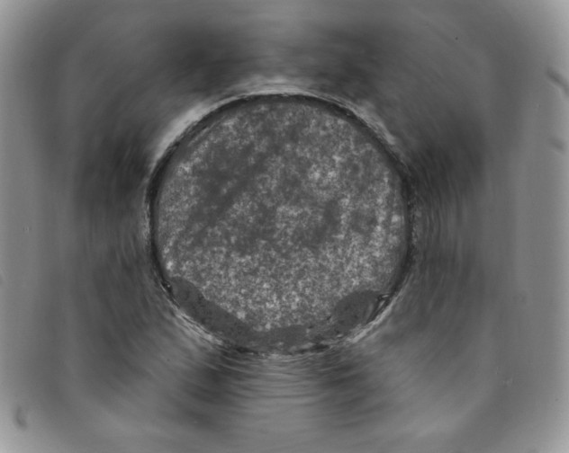 X0000095551167200801111447