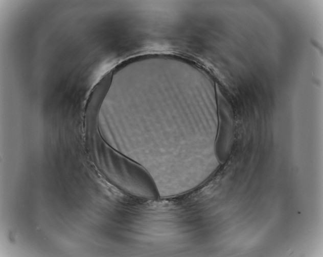 X0000095551168200801111447