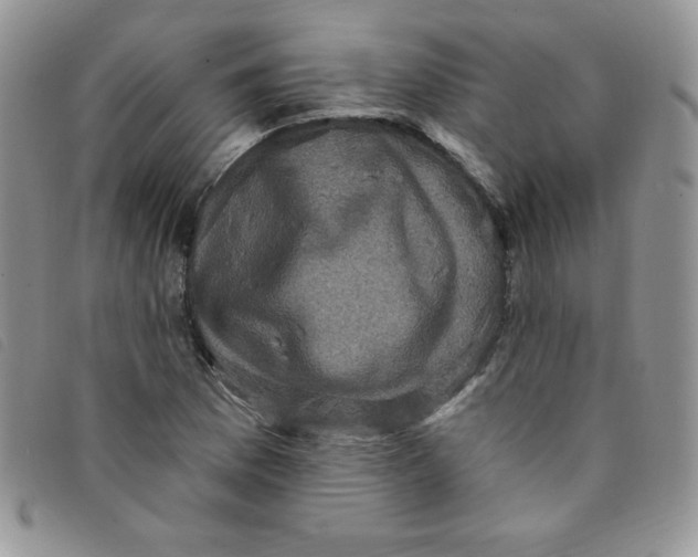 X0000095551169200801111447