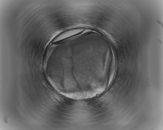 X0000095551170200801111447