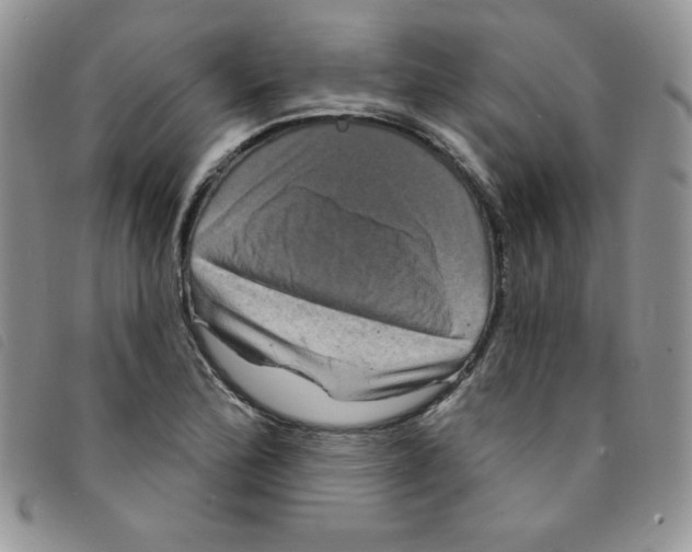 X0000095551172200801111447