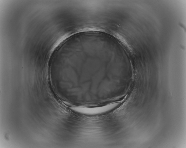 X0000095551173200801111447