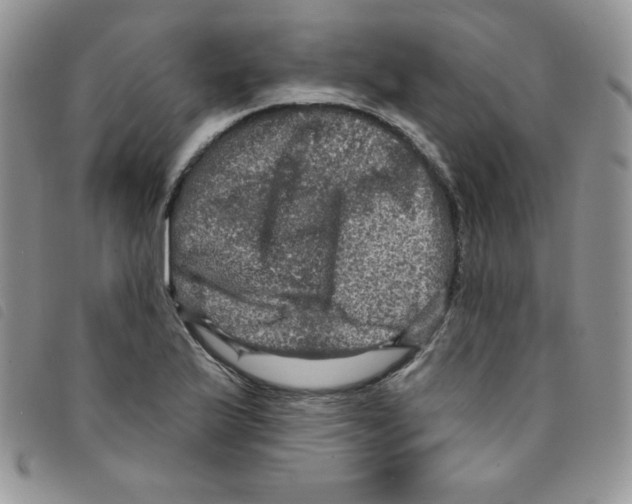 X0000095551175200801111447