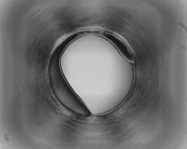 X0000095551176200801111447