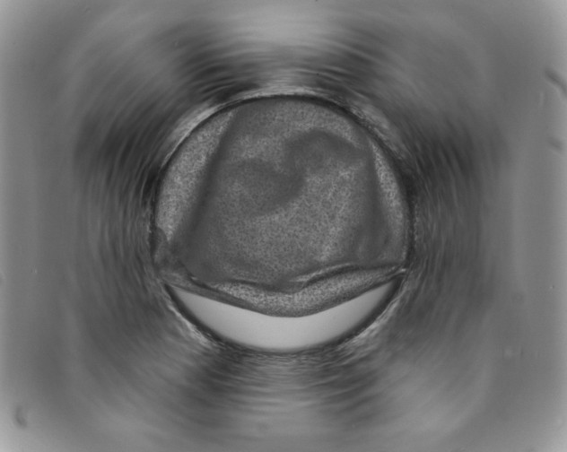 X0000095551177200801111447