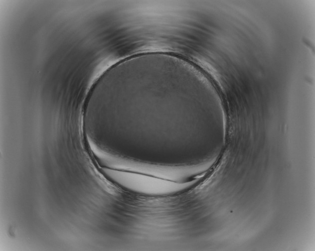 X0000095551179200801111447