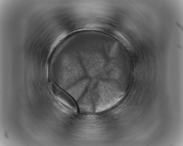 X0000095551180200801111447