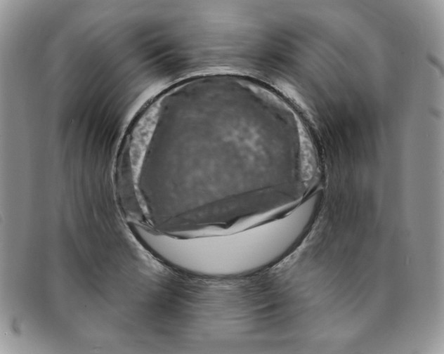 X0000095551181200801111447