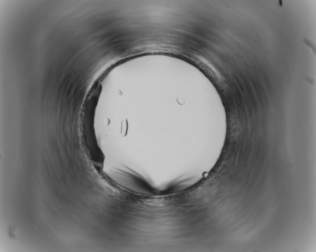 X0000095551182200801111447