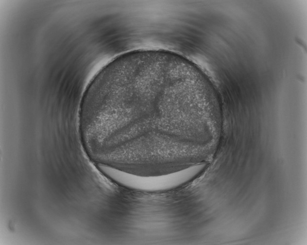 X0000095551183200801111447