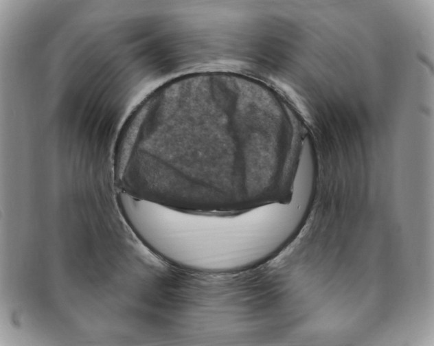 X0000095551184200801111447