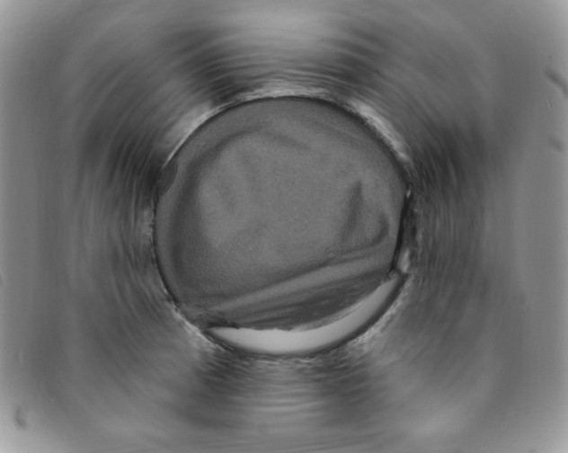 X0000095551185200801111447