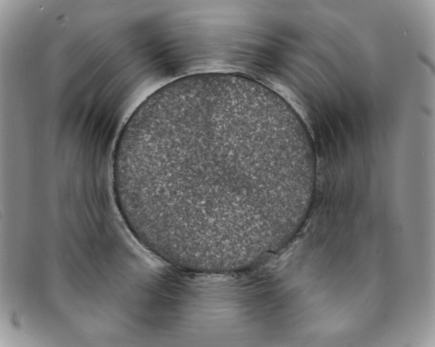 X0000095551187200801111447