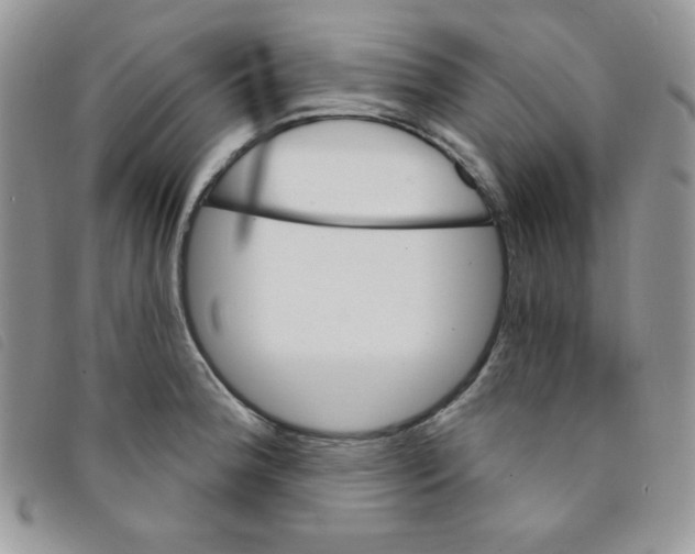 X0000095551188200801111447